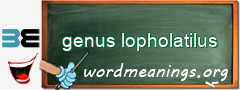 WordMeaning blackboard for genus lopholatilus